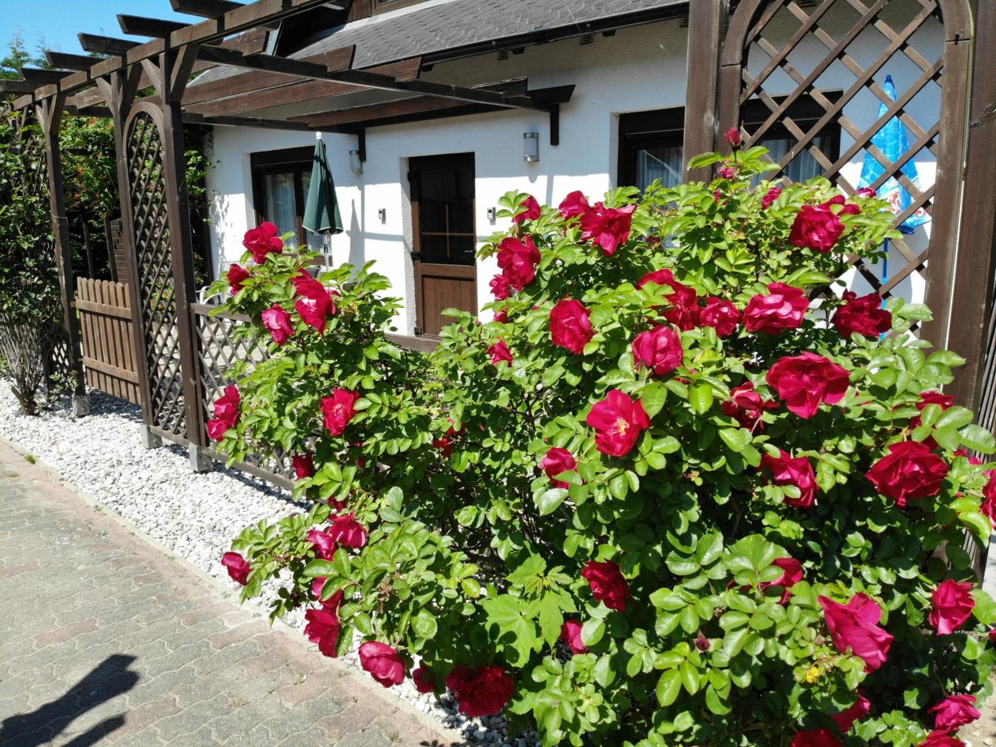 Ferienhaus Kress Rechts Sellin  Екстериор снимка